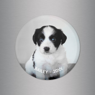 Skapa ditt eget sällskapsfoto Namn och år Magnet