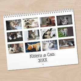 Skapa Ditt Eget Sött Katter Kullar Husdjur Foto Kalender