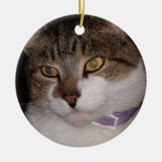 Skapa ditt egna foto cirklar prydnadmallen julgransprydnad keramik