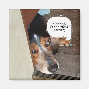 Skapa ditt egna Meme beställnings- roliga foto Magnet