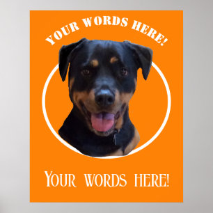 Skapa eget foto och egen text poster