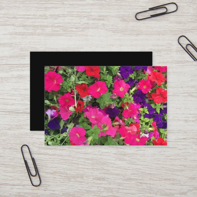 Skapa eget foto visitkort (Fram/Back In Situ)