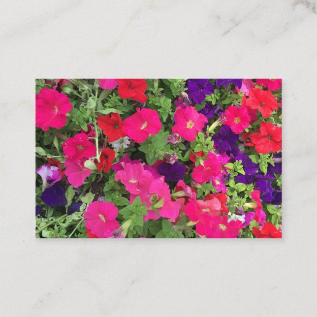 Skapa eget foto visitkort (Framsida)