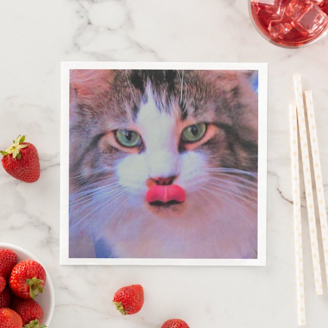 Skapa eget tillägg till din image anpassa pappersservett (Insitu)