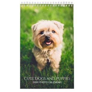 Skapa egna foton för Pet-Hund 2025 Small Calendar Kalender