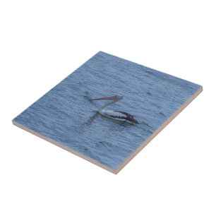 Skapa en egen ruta - Pelican Kakelplatta