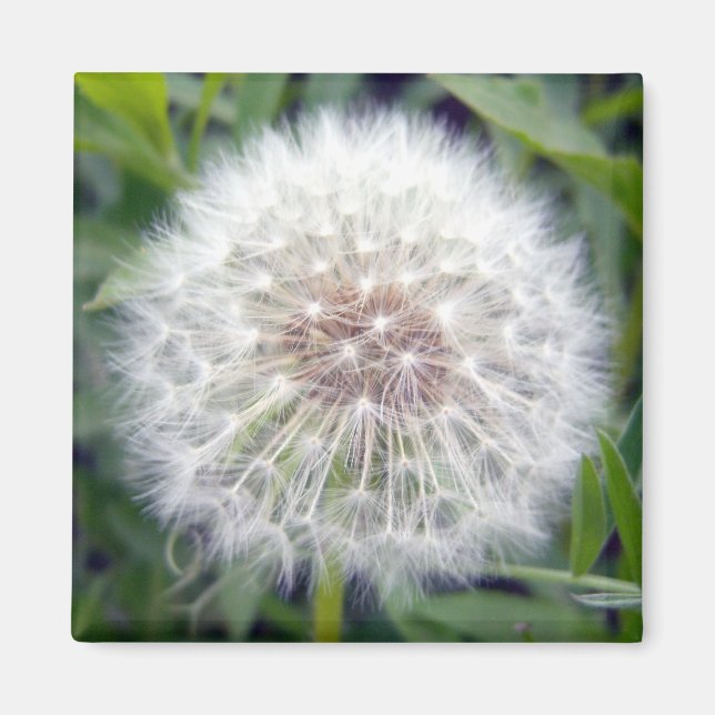 Skapa en önskad magnet (Framsidan)