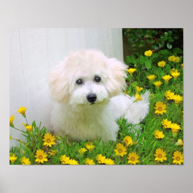 Skapa en Poster utskrift (Framsidan)