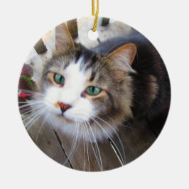 Skapa enkelt Anpassningsbarna Add 2 Photos Ceramic Julgransprydnad Keramik