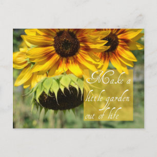 Skapa ett Garden Sunblommor-vykort Vykort
