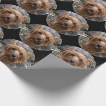 Skapa foto för din egen Personlig-Hund