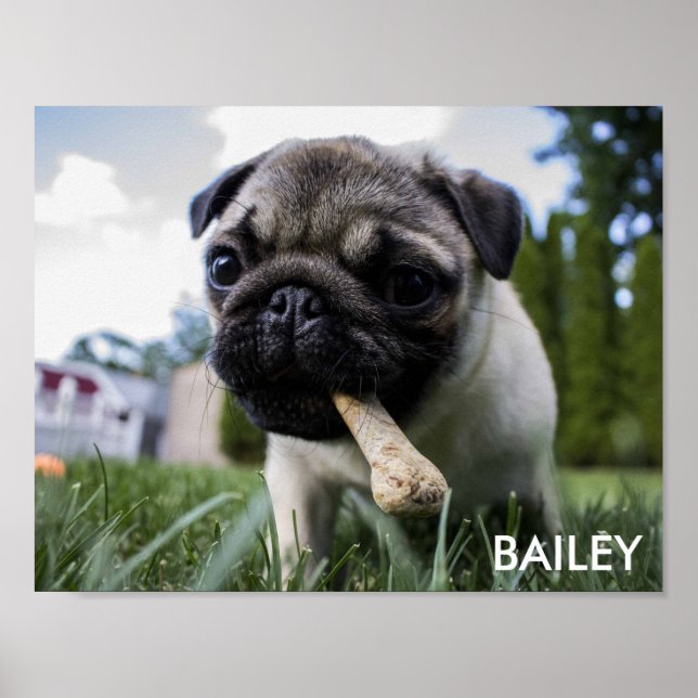 Skapa foto för egen Anpassningsbar Poster (Framsidan)