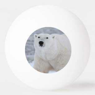 Skapa foto för egen Personlig Pingisboll