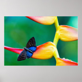 Skapa fotomall för Anpassningsbar för egen Personl Poster