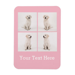 Skapa foton för Instagram Family Photo Hund Cat Ph Magnet