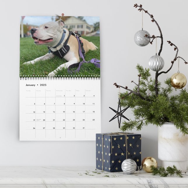 Skapa personliga hundminnen kalender (Hello Pet Puppy Custom Calendar)