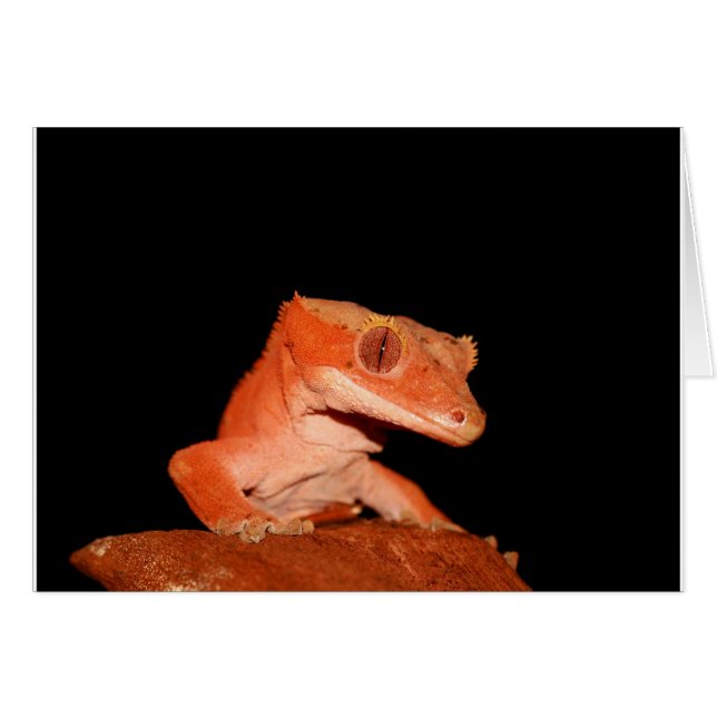 skapad gecko hälsningskort (Framsidan Horizontal)