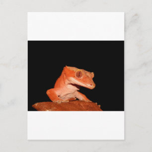 skapad gecko vykort