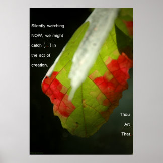 Skapandeakten Poster