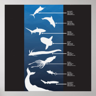 Skapanden av öppna havet poster