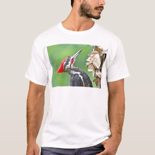 Skåpapparater för leksaksprofil för leksaksbeläggn t-shirt