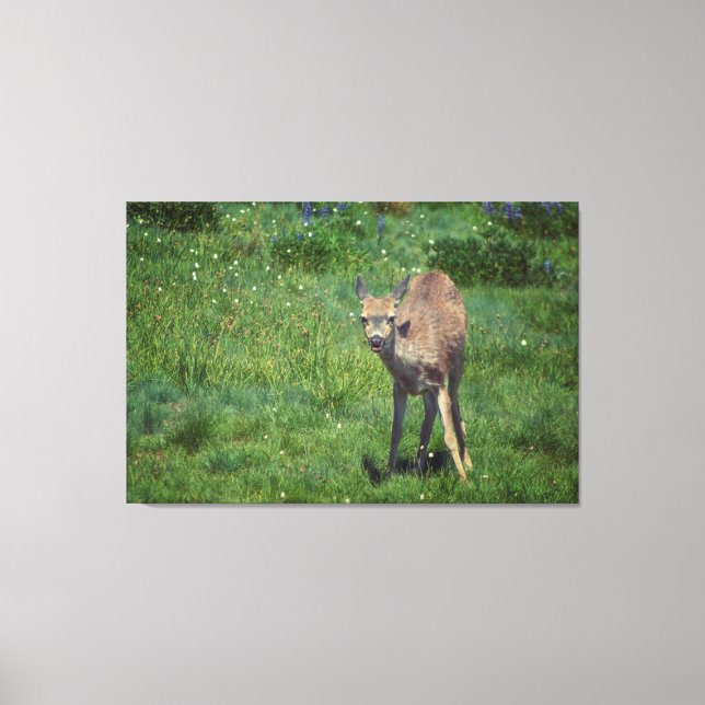 Skapar Ansikte Canvastryck (Framsida)