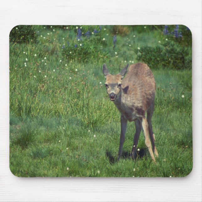 Skapar Ansikte Musmatta (Framsidan)