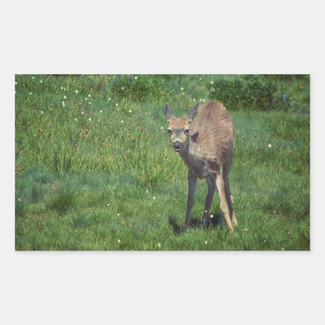 Skapar Ansikte Rektangulärt Klistermärke (Framsida)