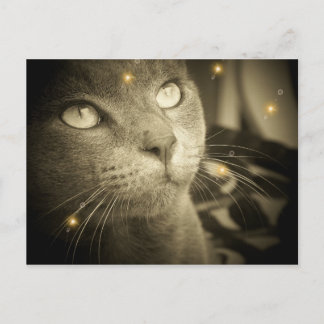 Skapar en önskan vykort