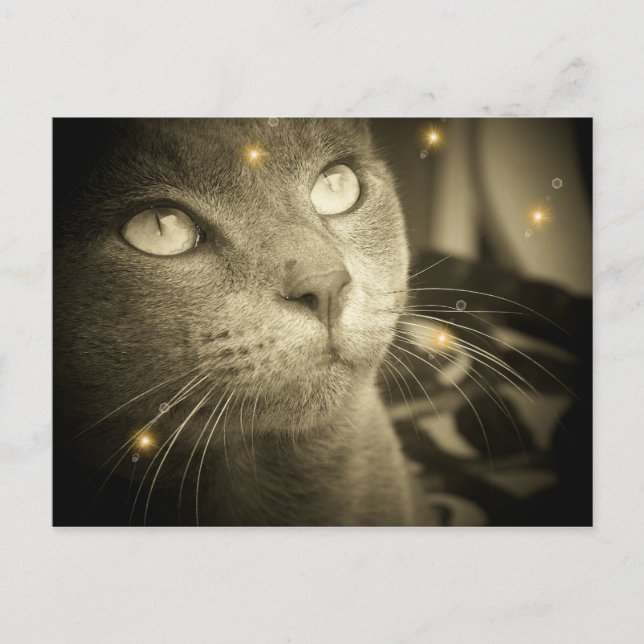 Skapar en önskan vykort (Framsida)