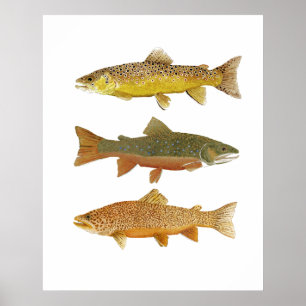 Skapar en tiger poster