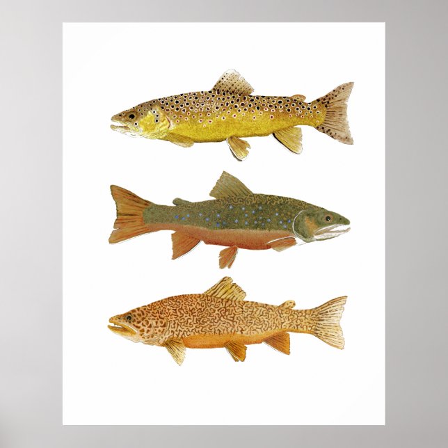 Skapar en tiger poster (Framsidan)