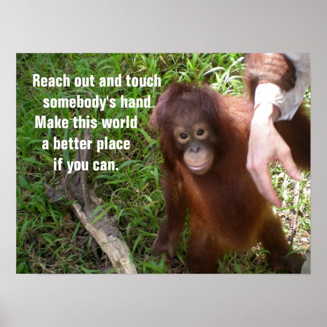 Skapar Friends Orangutan Wildlife Poster (Framsidan)