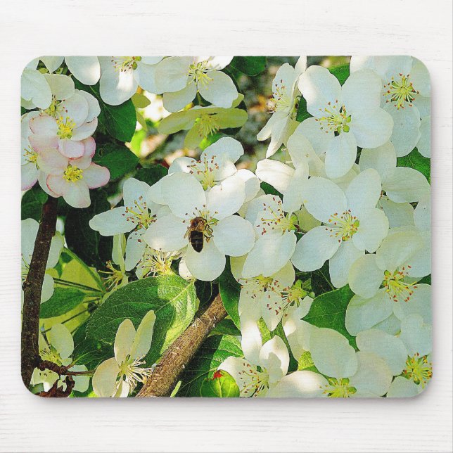 Skapar honung musmatta (Framsidan)