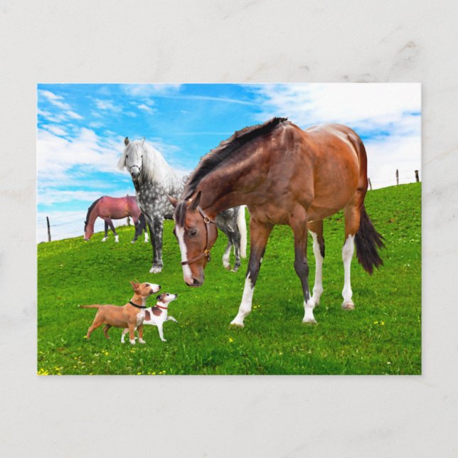 "Skapar vänner" Vykort (Framsida)