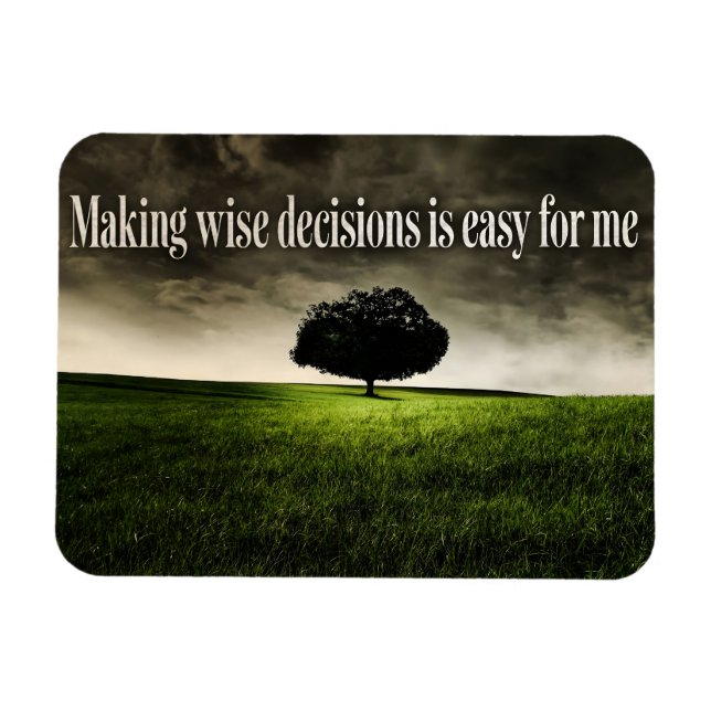 "Skapar visa beslut" Motiveringsbekräftelse Magnet (Horisontell)