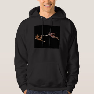 Skapelse av Adam Michelangelo Fractalmålning Hoodie