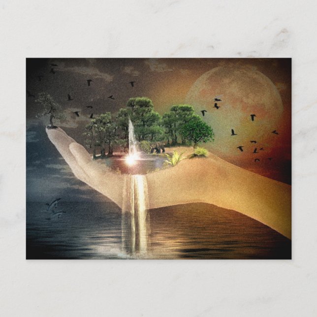 Skapelsen Vykort (Framsida)