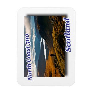 Skåpgroda resa magnet