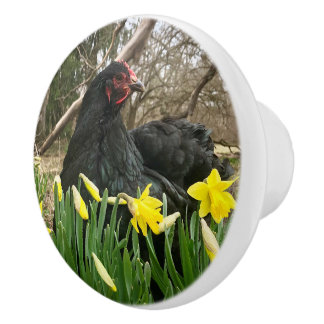 Skåphandtag för dörröppningsdörr, dragbar yeti-hög knopp