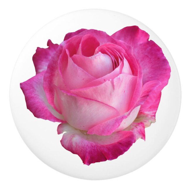 Skåplucka med rosa rosendesign och blommig knopp (Framsidan)