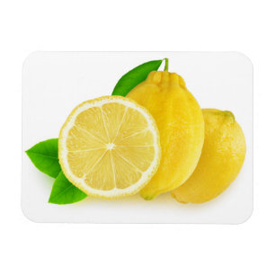 Skär citroner magnet