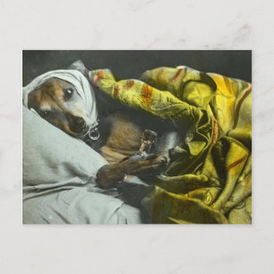 Skär som en Hund Skaffa snart Vintage Magic Lanter Vykort