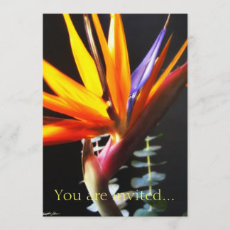 Skär Strelitzia Blommor 4 Inbjudningar