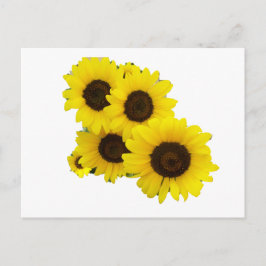 Skär ut solblommor vykort