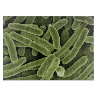 skärbräda för bakterie Kick-res