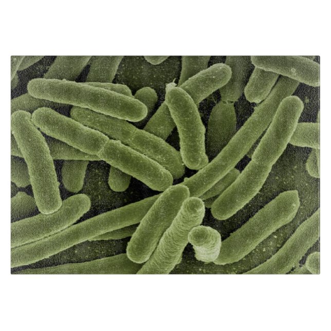 skärbräda för bakterie Kick-res (Framsidan)