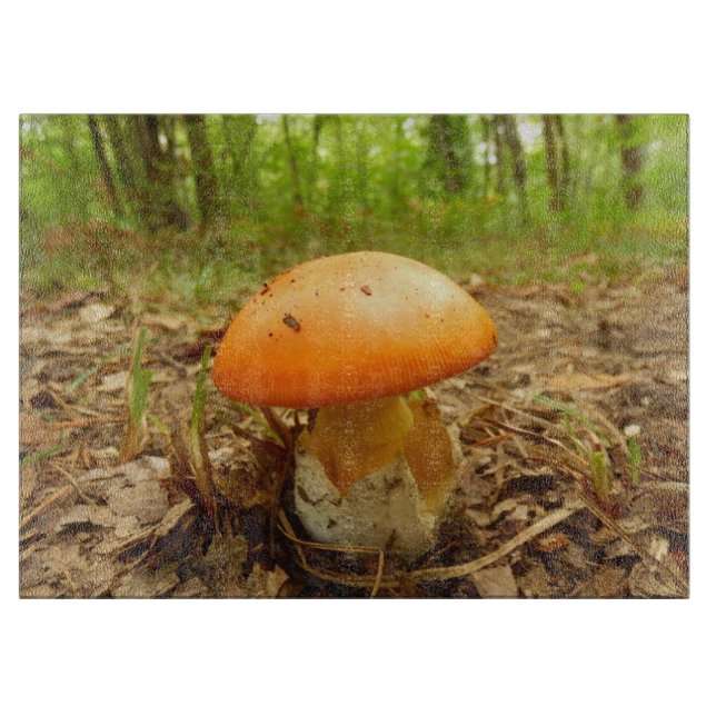 Skärbräda för exponeringsglas för AmanitaCaesarea (Framsidan)