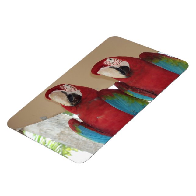 Skarlakansara tropisk illustration magnet (Vänstra Sidan)