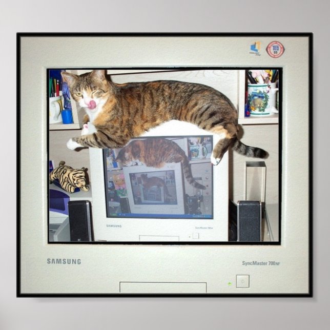 Skärm Savor-utskrifter Poster (Framsidan)